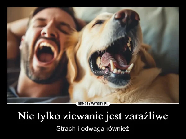 
    Nie tylko ziewanie jest zaraźliwe
