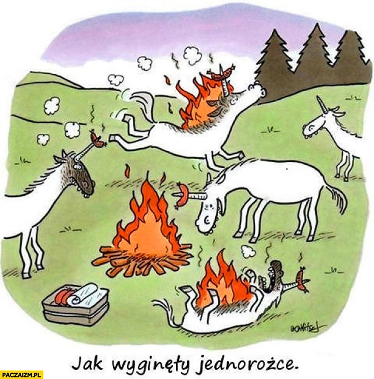 
    Jak wyginęły jednorożce grill ognisko