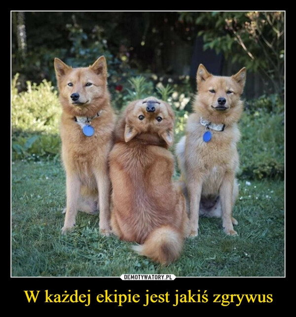 
    W każdej ekipie jest jakiś zgrywus