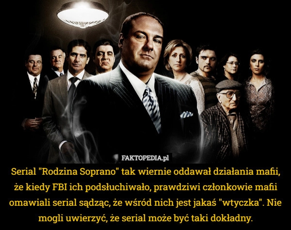 
    Serial "Rodzina Soprano" tak wiernie oddawał działania mafii,