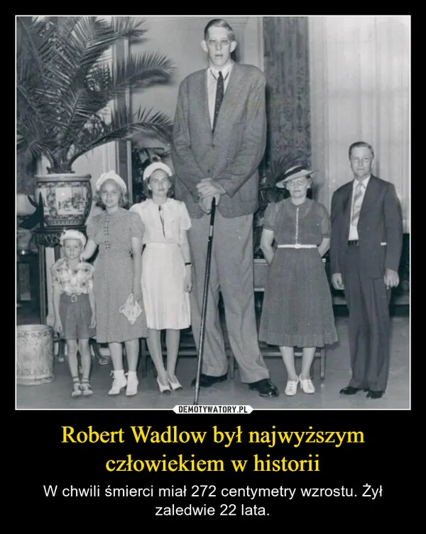 
    Robert Wadlow był najwyższym człowiekiem w historii