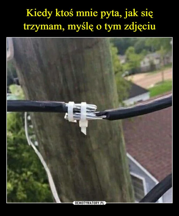 
    Kiedy ktoś mnie pyta, jak się trzymam, myślę o tym zdjęciu