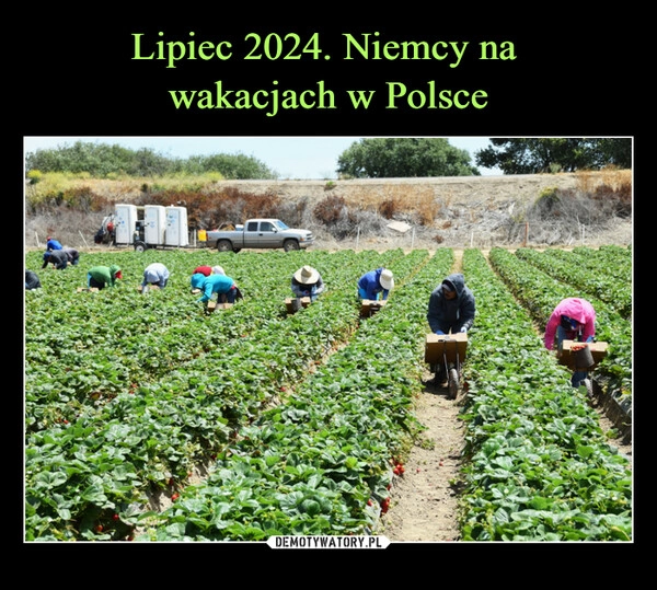 
    Lipiec 2024. Niemcy na 
wakacjach w Polsce