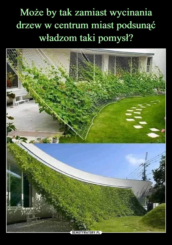 
    Może by tak zamiast wycinania drzew w centrum miast podsunąć władzom taki pomysł?