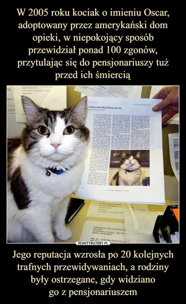 
    W 2005 roku kociak o imieniu Oscar, adoptowany przez amerykański dom opieki, w niepokojący sposób przewidział ponad 100 zgonów, przytulając się do pensjonariuszy tuż przed ich śmiercią Jego reputacja wzrosła po 20 kolejnych trafnych przewidywaniach, a rodziny były ostrzegane, gdy widziano
go z pensjonariuszem