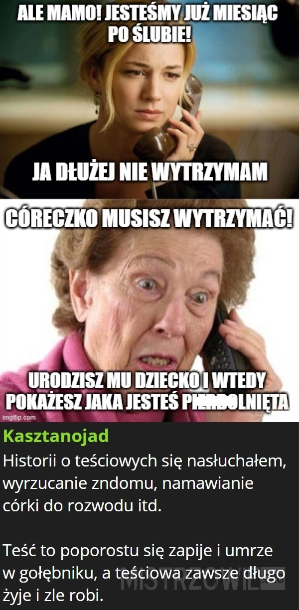 
    Złote rady mamusi