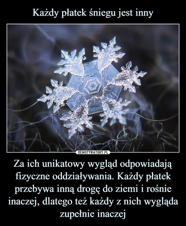 
    Każdy płatek śniegu jest inny Za ich unikatowy wygląd odpowiadają fizyczne oddziaływania. Każdy płatek przebywa inną drogę do ziemi i rośnie inaczej, dlatego też każdy z nich wygląda zupełnie inaczej