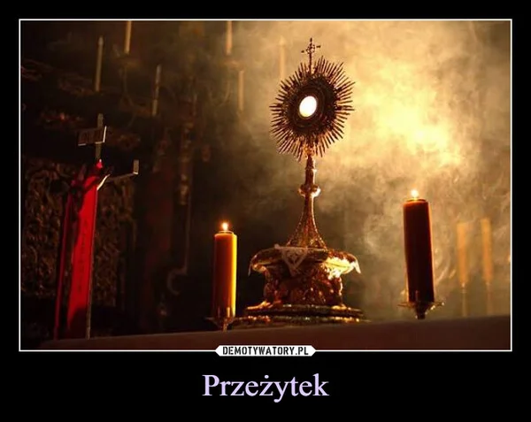
    Przeżytek