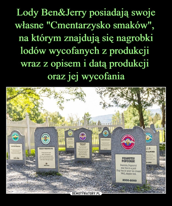 
    Lody Ben&Jerry posiadają swoje własne "Cmentarzysko smaków", 
na którym znajdują się nagrobki lodów wycofanych z produkcji 
wraz z opisem i datą produkcji 
oraz jej wycofania