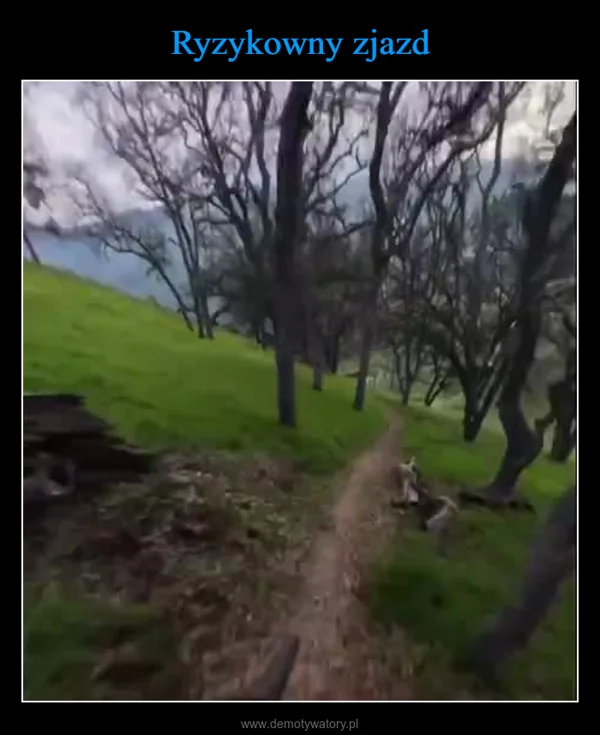 
    Ryzykowny zjazd