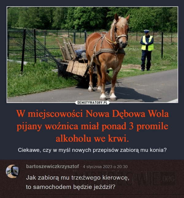 
    Pijany woźnica