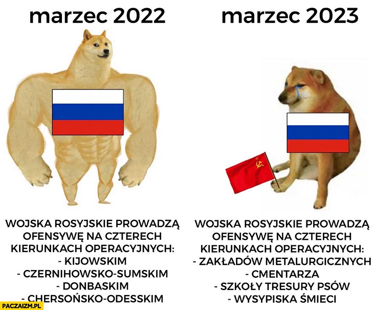 
    Rosja wojna inwazja marzec 2022 vs 2023 ofensywa na czterech kierunkach porównanie pies pieseł doge