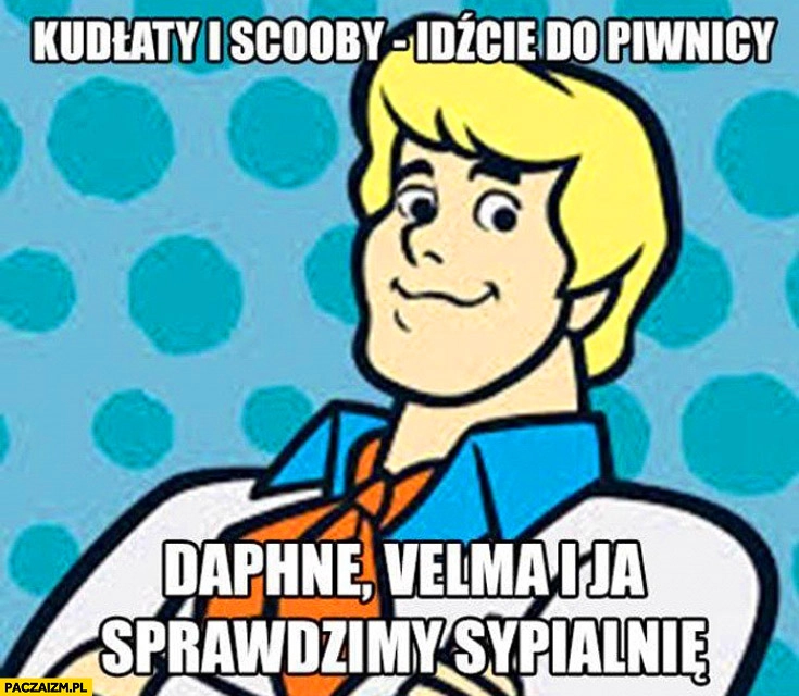 
    Kudłaty i Scooby idzcie do piwnicy Daphne, Velma i ja sprawdzimy sypialnię