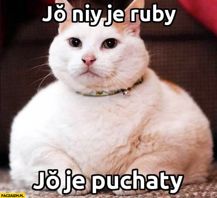 
    Kot ja nie jestem gruby, jestem puchaty
