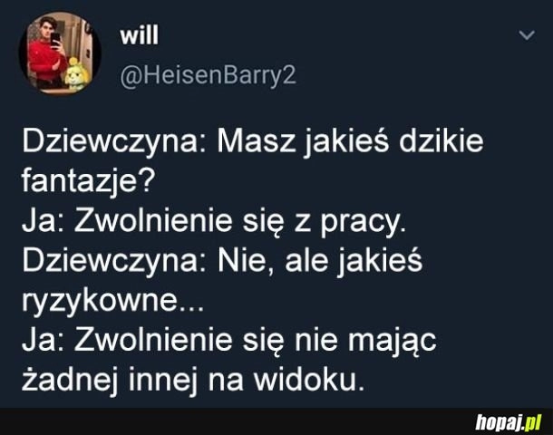 
    Dzikie fantazje