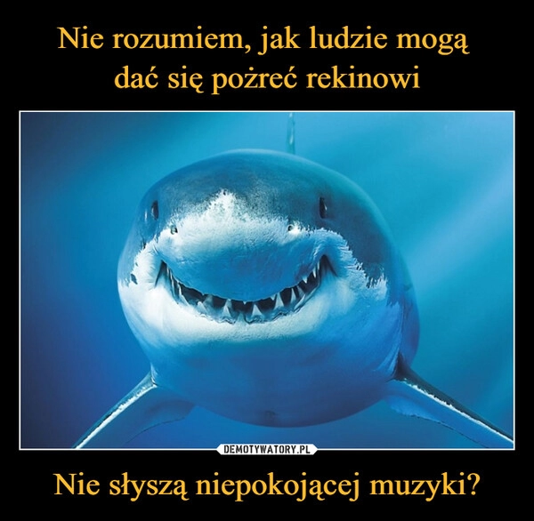 
    Nie rozumiem, jak ludzie mogą 
dać się pożreć rekinowi Nie słyszą niepokojącej muzyki?