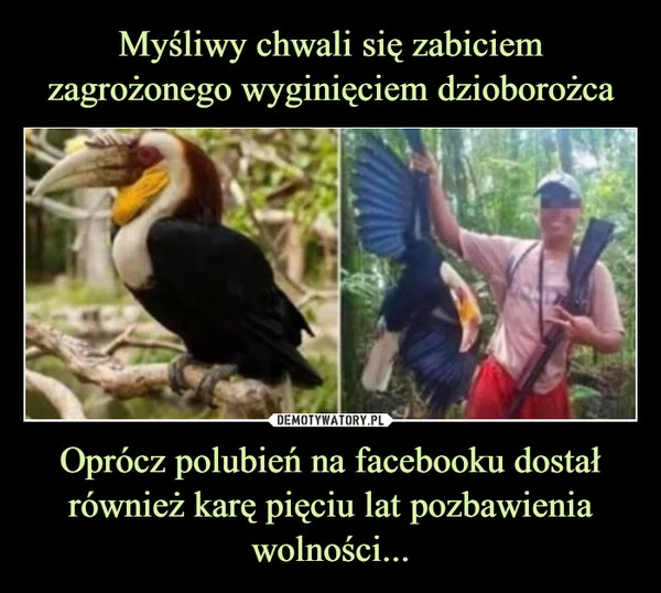 
    Myśliwy chwali się zabiciem zagrożonego wyginięciem dzioborożca Oprócz polubień na facebooku dostał również karę pięciu lat pozbawienia wolności...