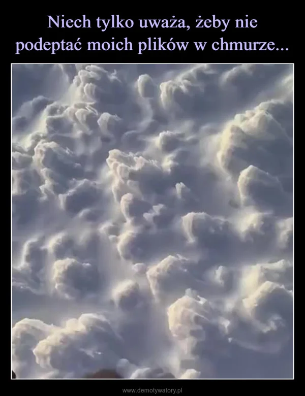 
    Niech tylko uważa, żeby nie podeptać moich plików w chmurze...