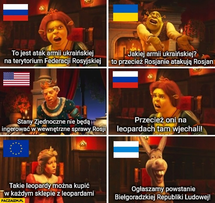 
    Shrek rozmowa po ataku rosjan w rosji