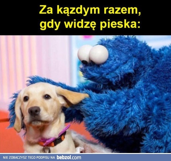 
    Kiedy widzę psa