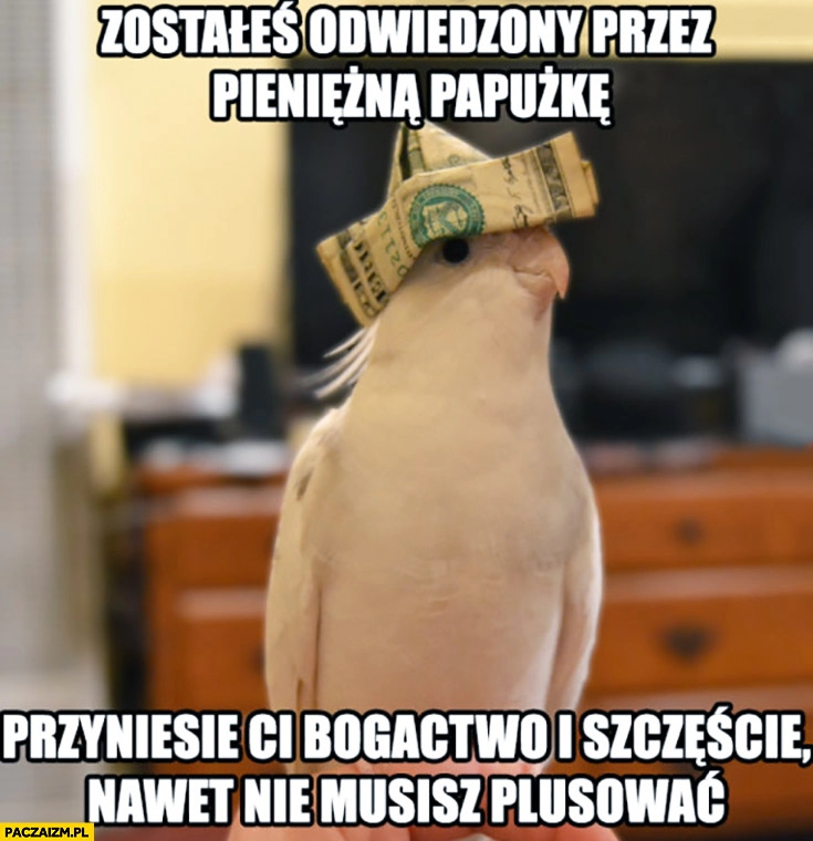 
    Zostałeś odwiedzony przez pieniężną papużkę, przyniesie Ci bogactwo i szczęście, nawet nie musisz plusować