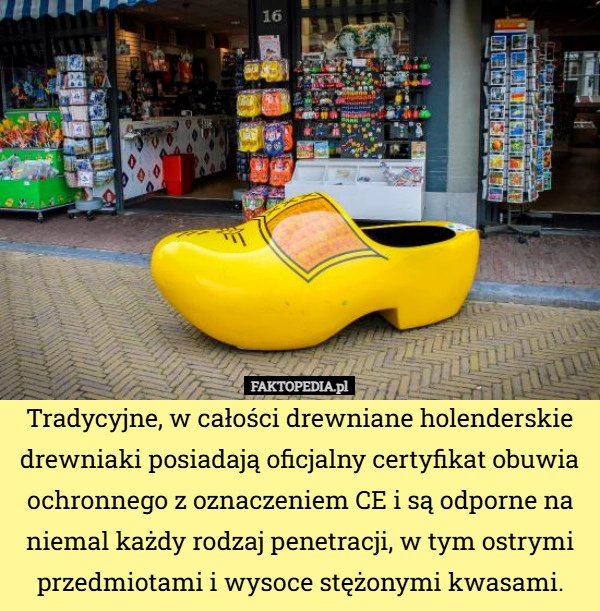 
    Tradycyjne, w całości drewniane holenderskie drewniaki posiadają oficjalny