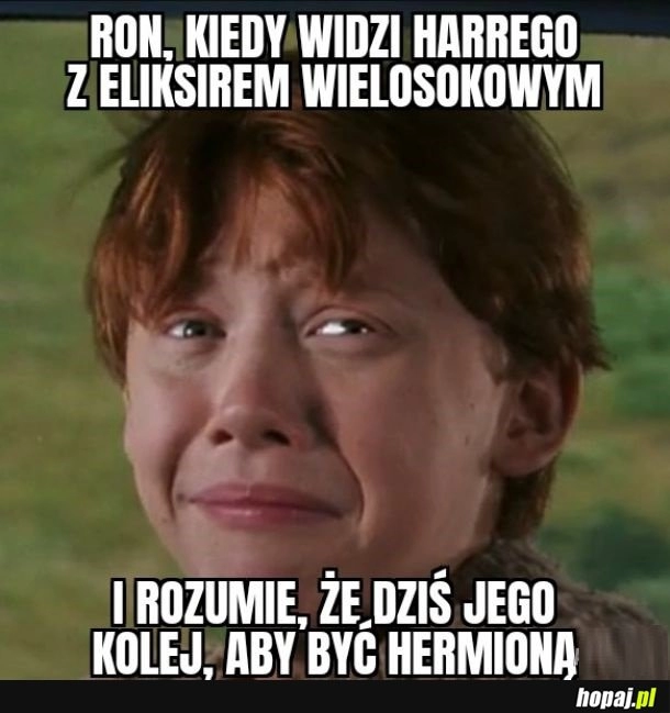 
    Wypoleruj mi różdżkę