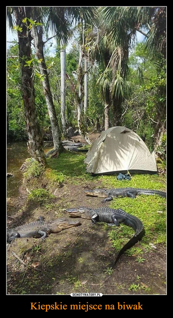 
    Kiepskie miejsce na biwak