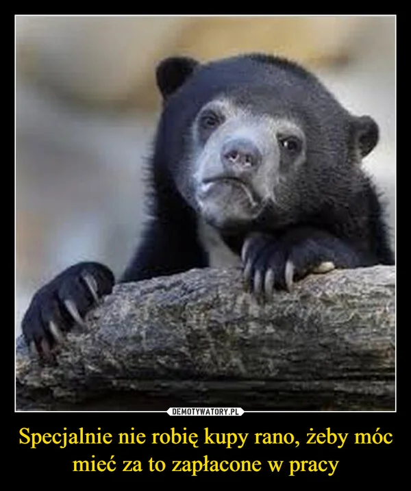 Specjalnie nie robię kupy rano, żeby móc mieć za to zapłacone w pracy