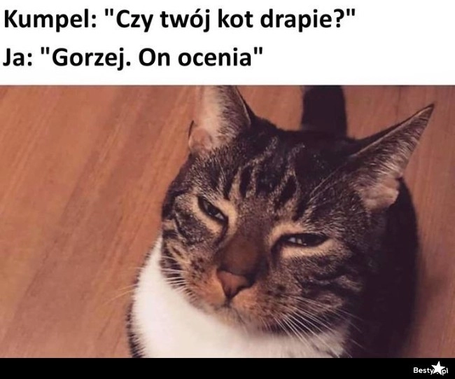 
    Jeszcze gorzej 