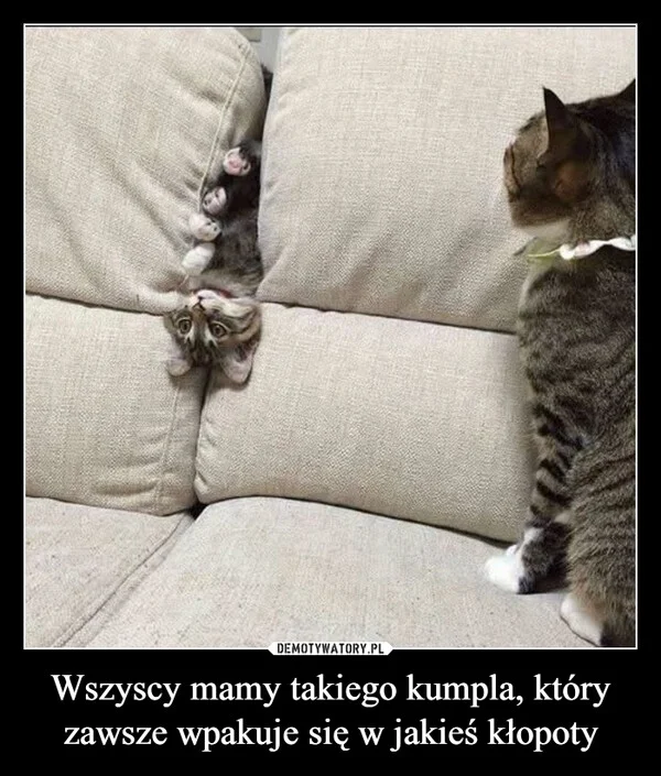 
    Wszyscy mamy takiego kumpla, który zawsze wpakuje się w jakieś kłopoty