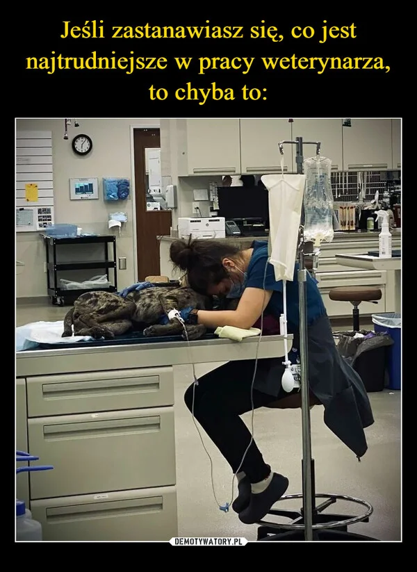 
    Jeśli zastanawiasz się, co jest najtrudniejsze w pracy weterynarza, to chyba to: