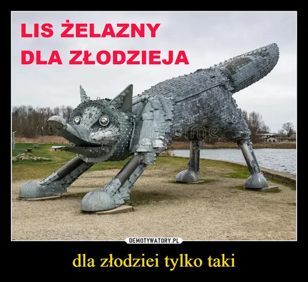 dla złodziei tylko taki