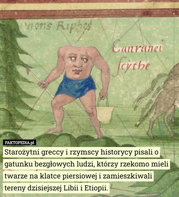 
    Starożytni greccy i rzymscy historycy pisali o gatunku bezgłowych ludzi...