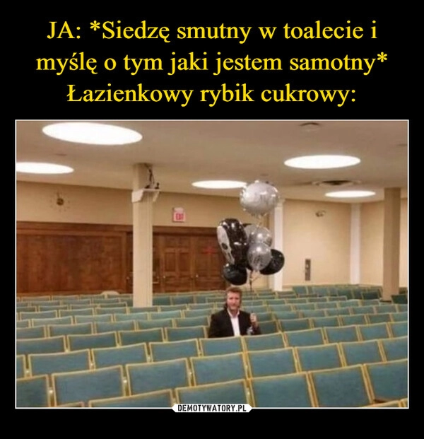 
    JA: *Siedzę smutny w toalecie i myślę o tym jaki jestem samotny*
Łazienkowy rybik cukrowy: