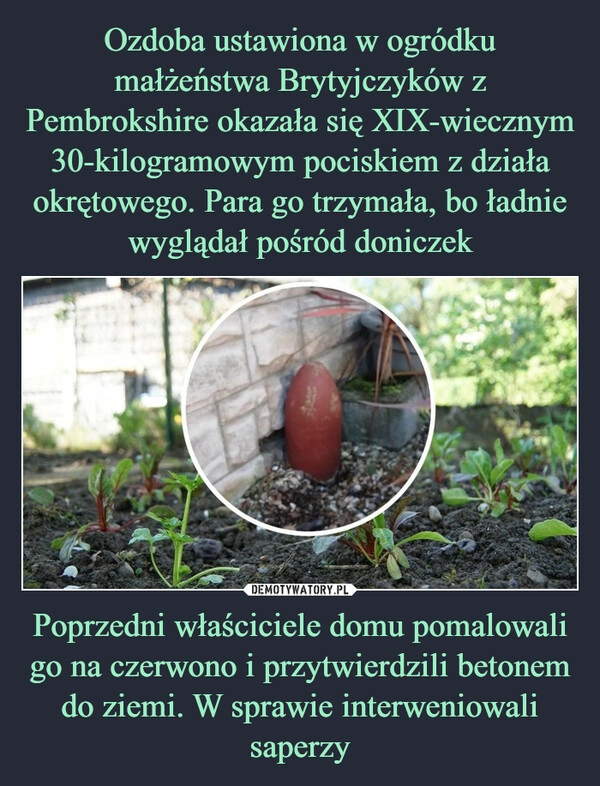 
    Ozdoba ustawiona w ogródku małżeństwa Brytyjczyków z Pembrokshire okazała się XIX-wiecznym 30-kilogramowym pociskiem z działa okrętowego. Para go trzymała, bo ładnie wyglądał pośród doniczek Poprzedni właściciele domu pomalowali go na czerwono i przytwierdzili betonem do ziemi. W sprawie interweniowali saperzy