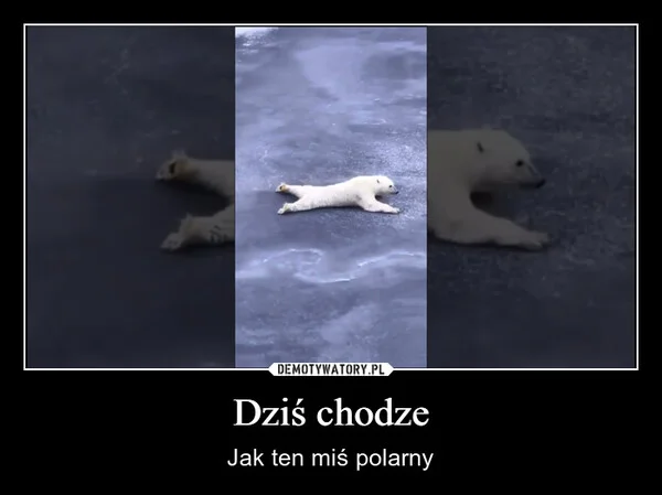 
    Dziś chodze