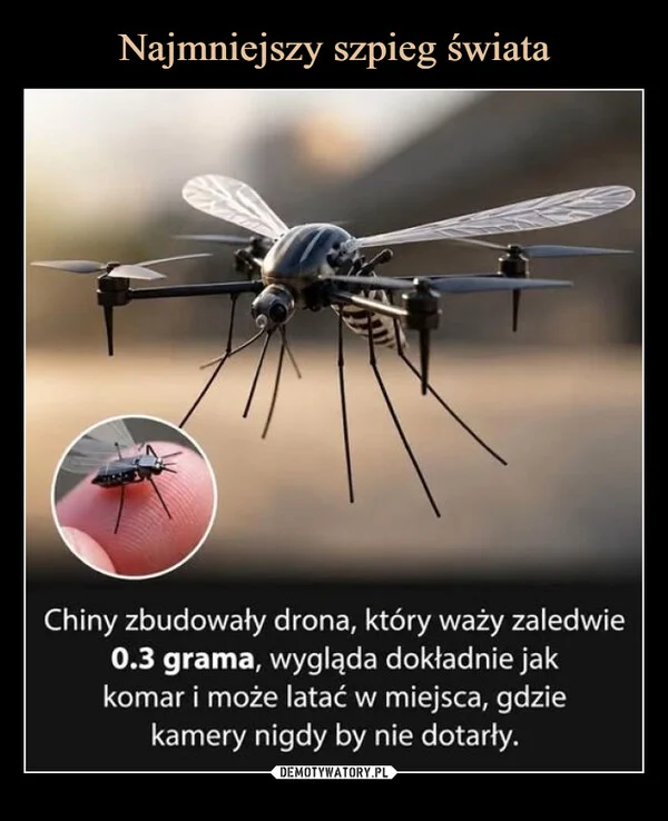 
    Najmniejszy szpieg świata