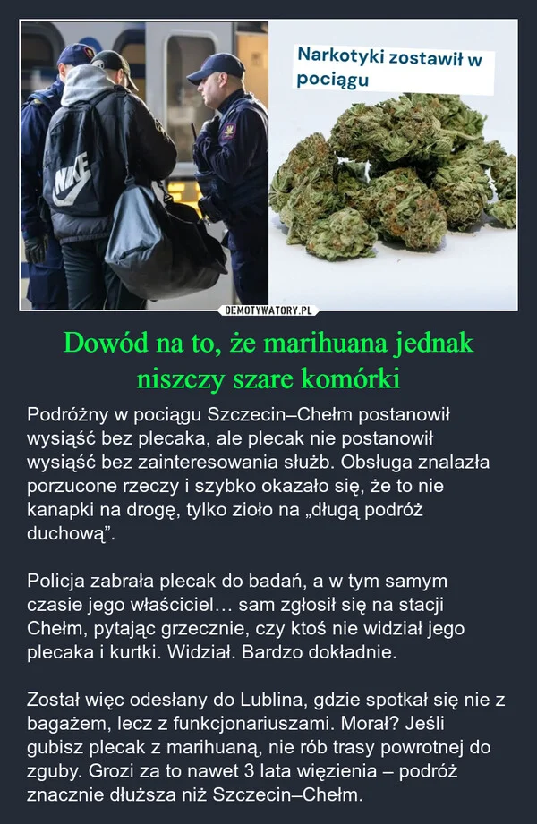 
    Dowód na to, że marihuana jednak niszczy szare komórki