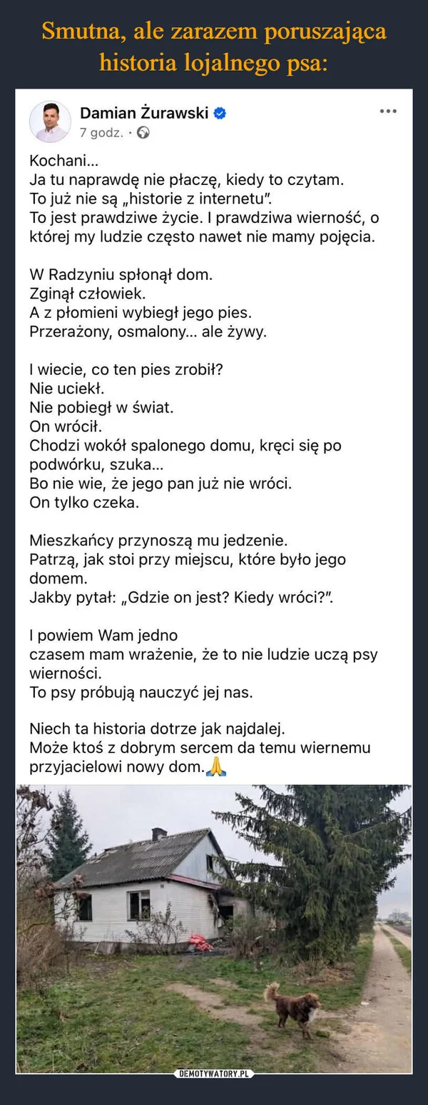 
    Smutna, ale zarazem poruszająca historia lojalnego psa: