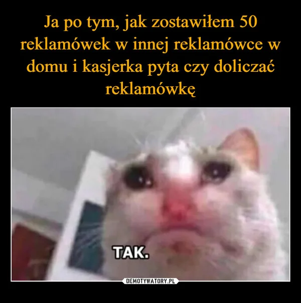 
    Ja po tym, jak zostawiłem 50 reklamówek w innej reklamówce w domu i kasjerka pyta czy doliczać reklamówkę