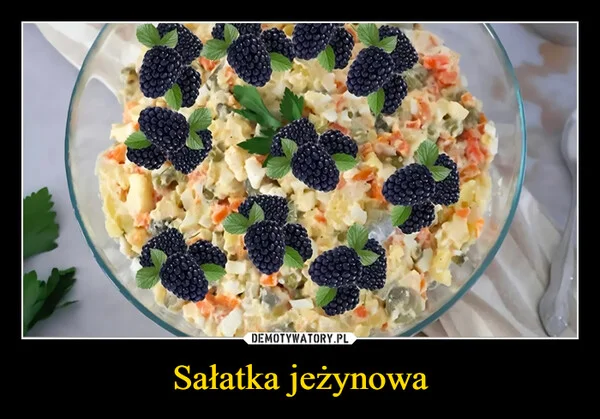 
    Sałatka jeżynowa