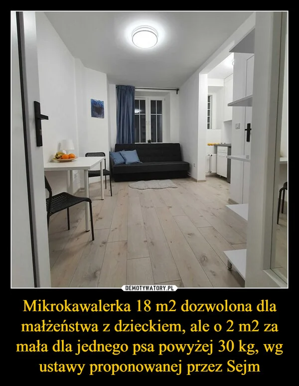 
    Mikrokawalerka 18 m2 dozwolona dla małżeństwa z dzieckiem, ale o 2 m2 za mała dla jednego psa powyżej 30 kg, wg ustawy proponowanej przez Sejm