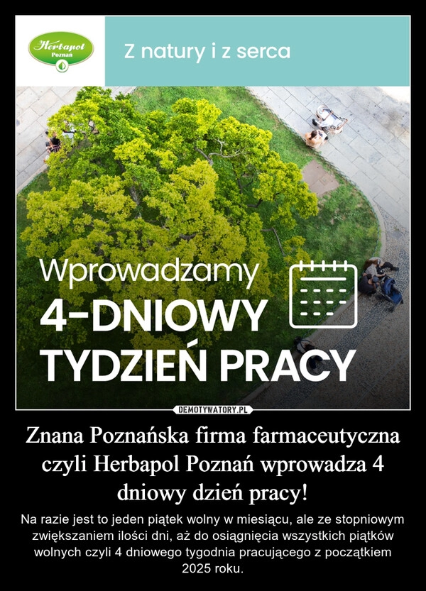 
    Znana Poznańska firma farmaceutyczna czyli Herbapol Poznań wprowadza 4 dniowy dzień pracy!