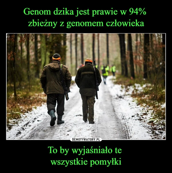 
    Genom dzika jest prawie w 94% 
zbieżny z genomem człowieka To by wyjaśniało te 
wszystkie pomyłki