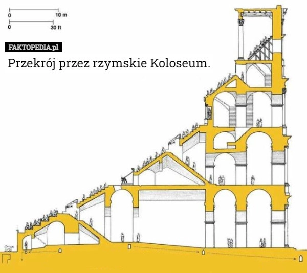 
    Przekrój przez rzymskie Koloseum.