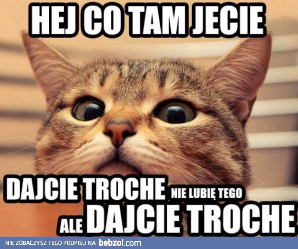 
    Zupełnie jak mój kot