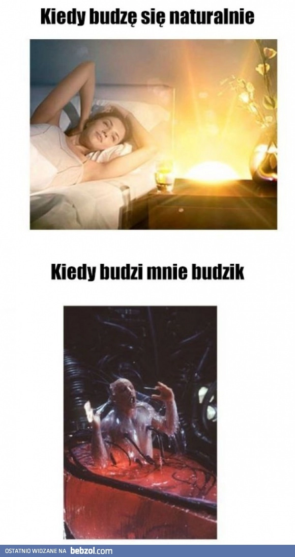 
    Budzik