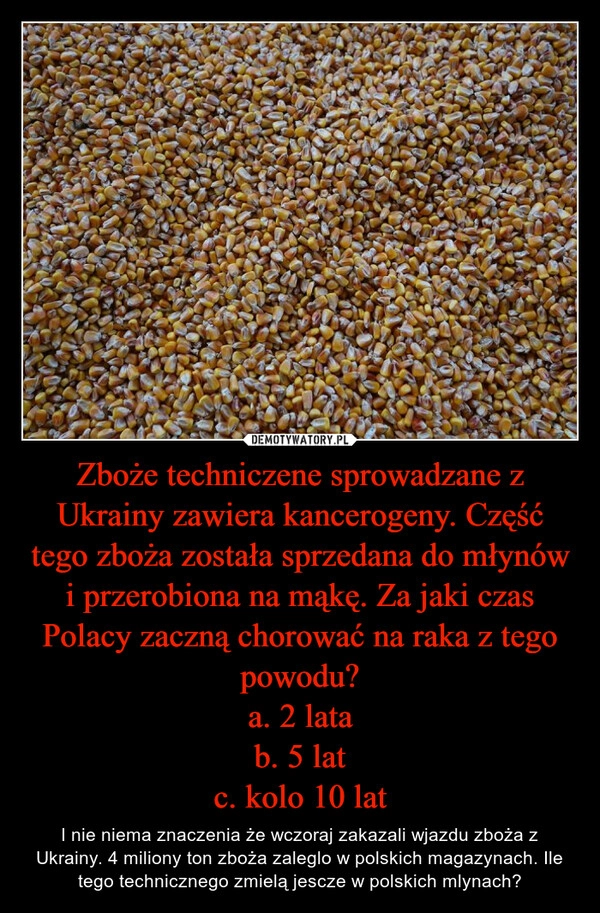 
    Zboże techniczene sprowadzane z Ukrainy zawiera kancerogeny. Część tego zboża została sprzedana do młynów i przerobiona na mąkę. Za jaki czas Polacy zaczną chorować na raka z tego powodu?
a. 2 lata
b. 5 lat
c. kolo 10 lat