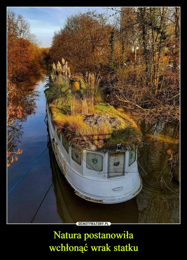 
    Natura postanowiła wchłonąć wrak statku